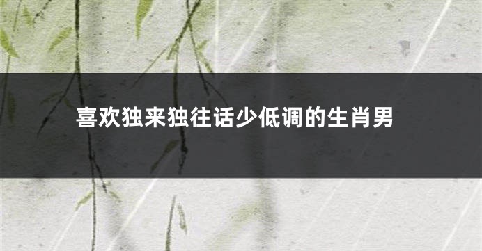 喜欢独来独往话少低调的生肖男