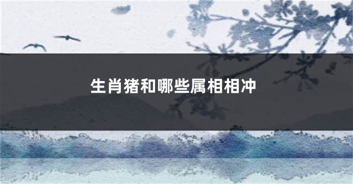 生肖猪和哪些属相相冲