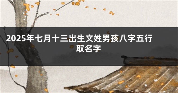 2025年七月十三出生文姓男孩八字五行取名字