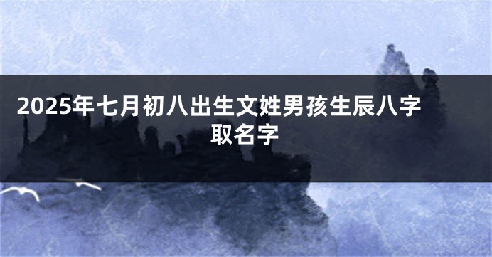 2025年七月初八出生文姓男孩生辰八字取名字