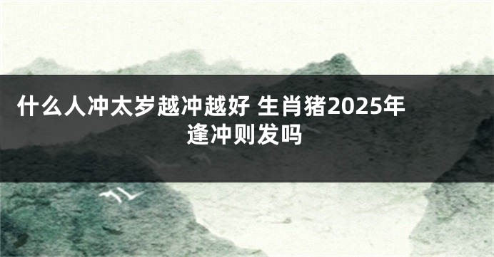 什么人冲太岁越冲越好 生肖猪2025年逢冲则发吗