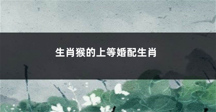 生肖猴的上等婚配生肖