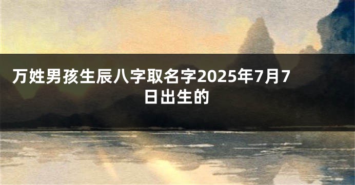 万姓男孩生辰八字取名字2025年7月7日出生的