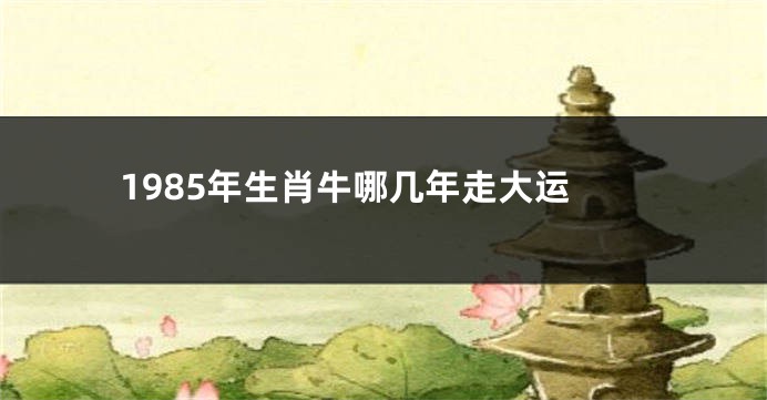 1985年生肖牛哪几年走大运