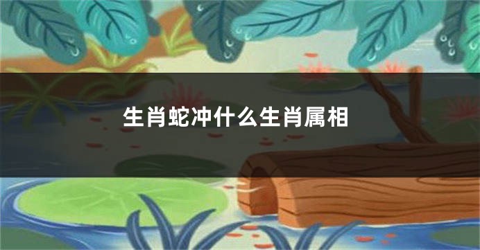 生肖蛇冲什么生肖属相