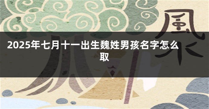 2025年七月十一出生魏姓男孩名字怎么取