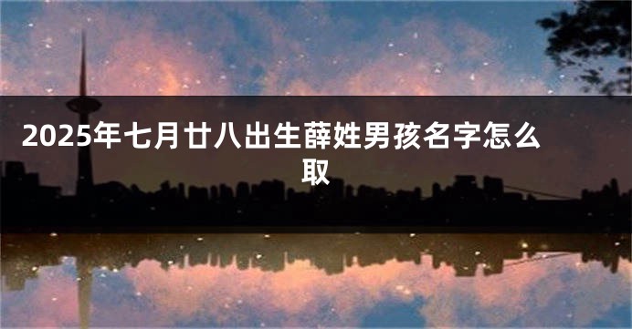 2025年七月廿八出生薛姓男孩名字怎么取