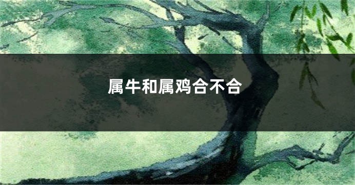 属牛和属鸡合不合