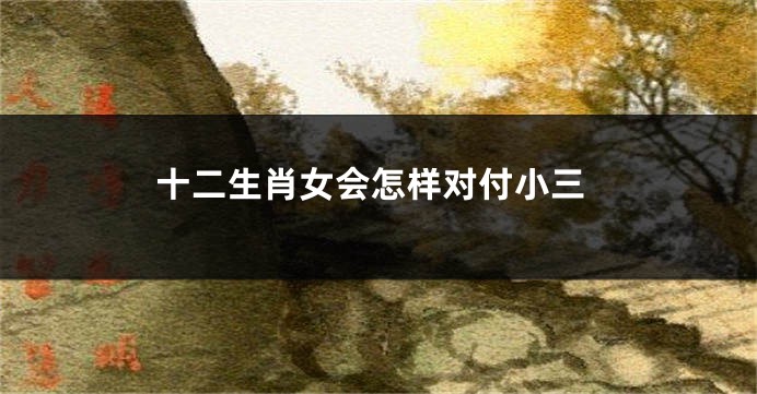 十二生肖女会怎样对付小三