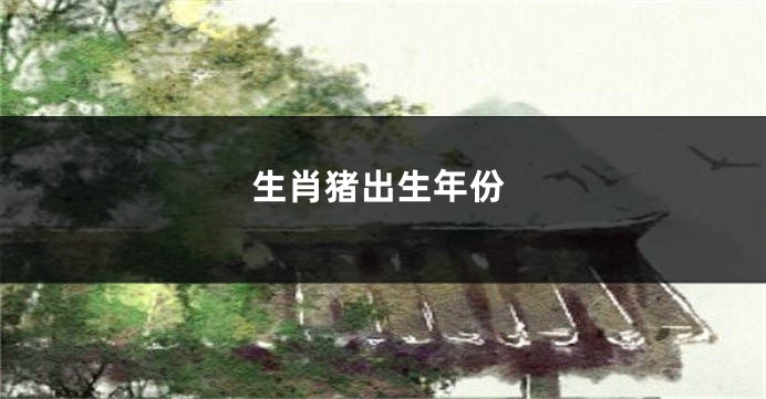 生肖猪出生年份