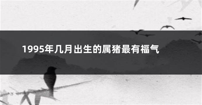 1995年几月出生的属猪最有福气