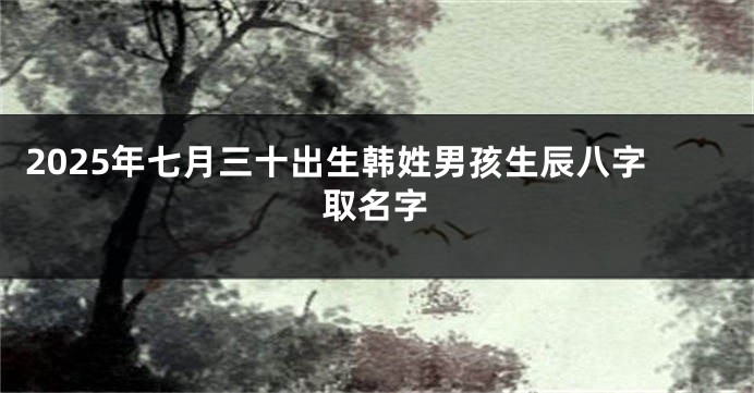 2025年七月三十出生韩姓男孩生辰八字取名字