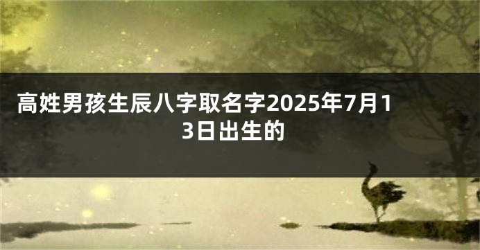 高姓男孩生辰八字取名字2025年7月13日出生的