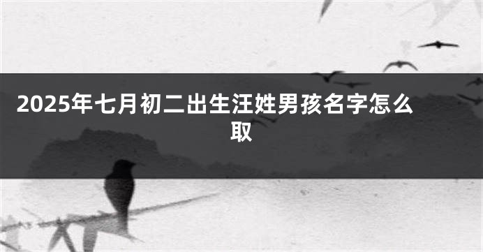 2025年七月初二出生汪姓男孩名字怎么取