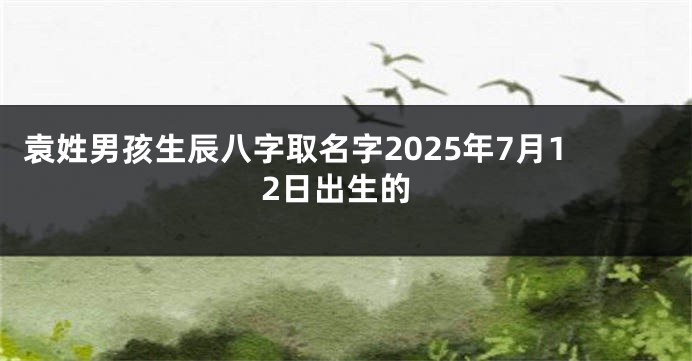 袁姓男孩生辰八字取名字2025年7月12日出生的