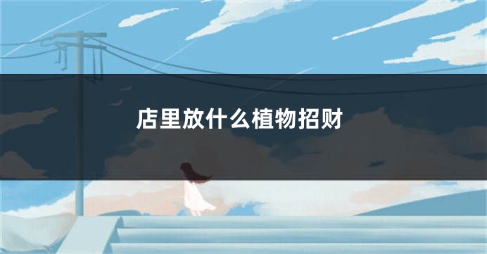 店里放什么植物招财