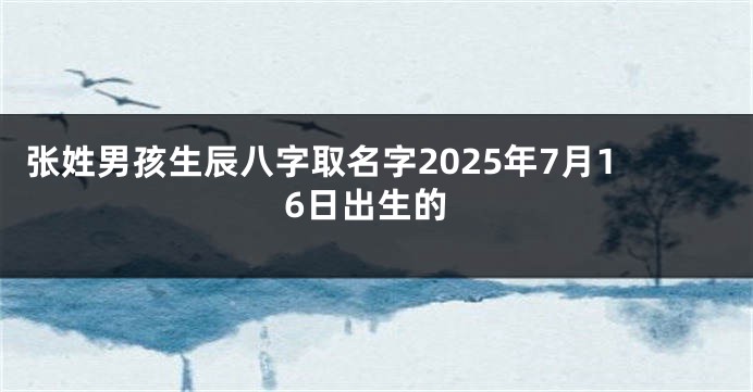 张姓男孩生辰八字取名字2025年7月16日出生的