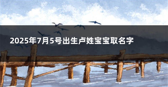 2025年7月5号出生卢姓宝宝取名字