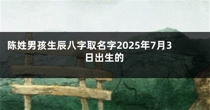 陈姓男孩生辰八字取名字2025年7月3日出生的