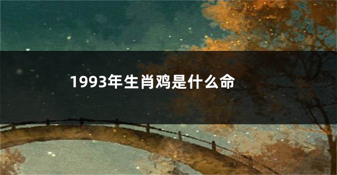 1993年生肖鸡是什么命