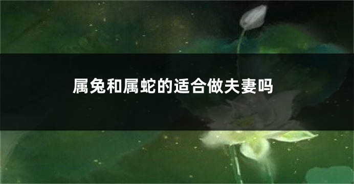 属兔和属蛇的适合做夫妻吗