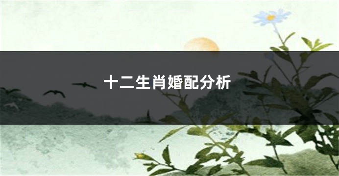 十二生肖婚配分析