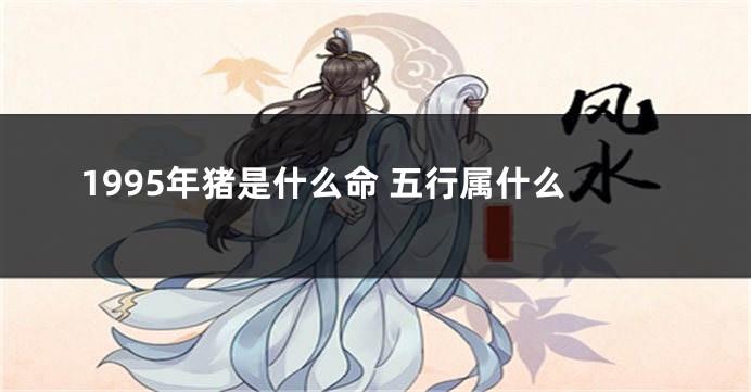 1995年猪是什么命 五行属什么