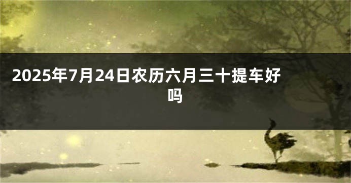 2025年7月24日农历六月三十提车好吗