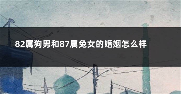 82属狗男和87属兔女的婚姻怎么样