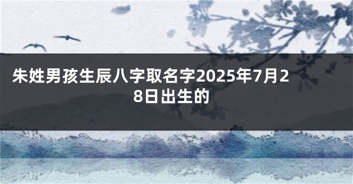 朱姓男孩生辰八字取名字2025年7月28日出生的