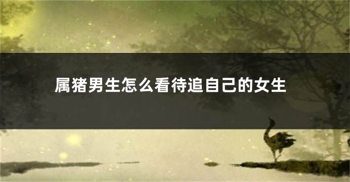 属猪男生怎么看待追自己的女生