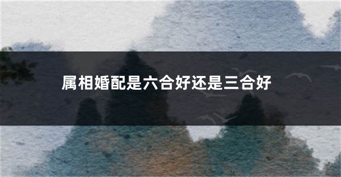 属相婚配是六合好还是三合好