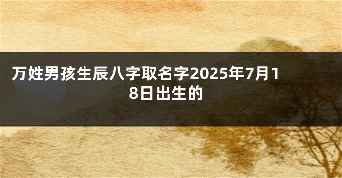 万姓男孩生辰八字取名字2025年7月18日出生的