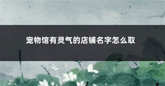 宠物馆有灵气的店铺名字怎么取