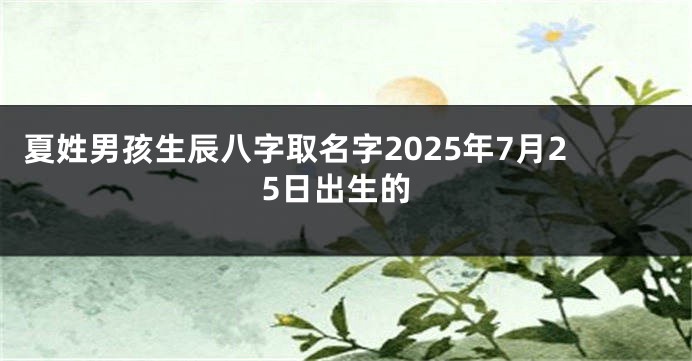 夏姓男孩生辰八字取名字2025年7月25日出生的