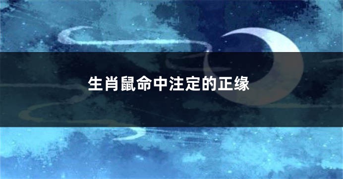 生肖鼠命中注定的正缘