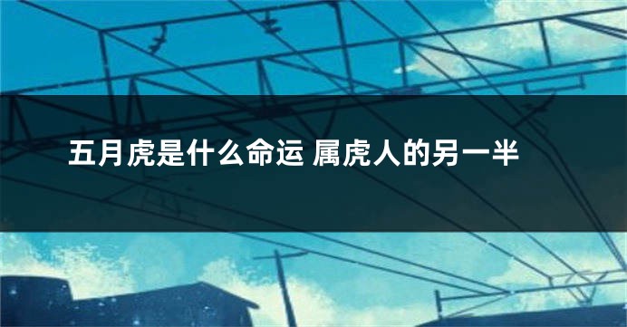 五月虎是什么命运 属虎人的另一半