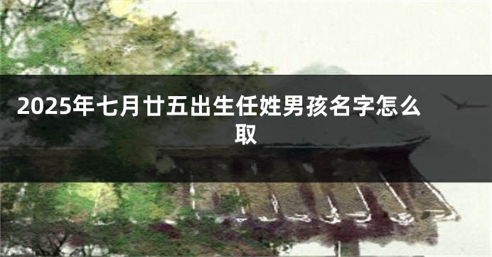 2025年七月廿五出生任姓男孩名字怎么取