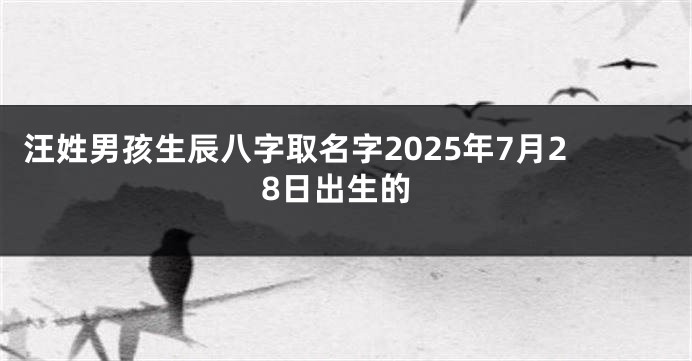 汪姓男孩生辰八字取名字2025年7月28日出生的