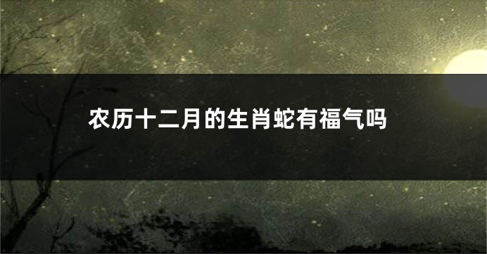 农历十二月的生肖蛇有福气吗