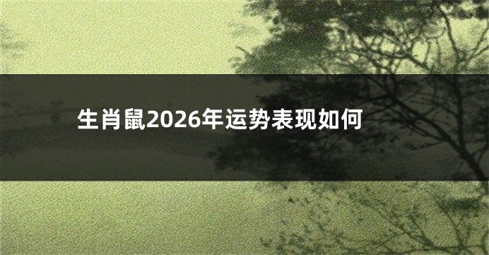 生肖鼠2026年运势表现如何