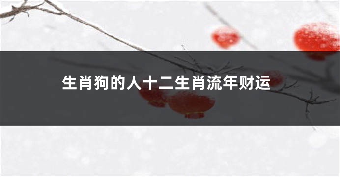 生肖狗的人十二生肖流年财运