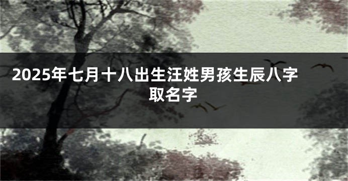 2025年七月十八出生汪姓男孩生辰八字取名字
