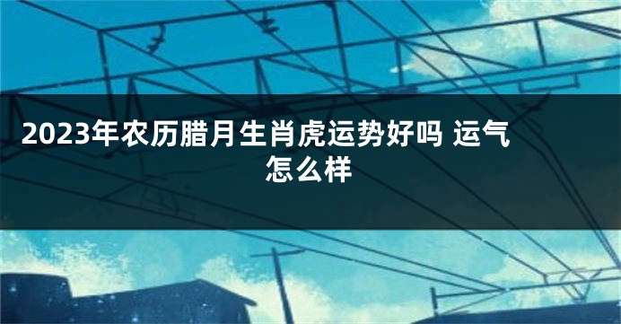 2023年农历腊月生肖虎运势好吗 运气怎么样