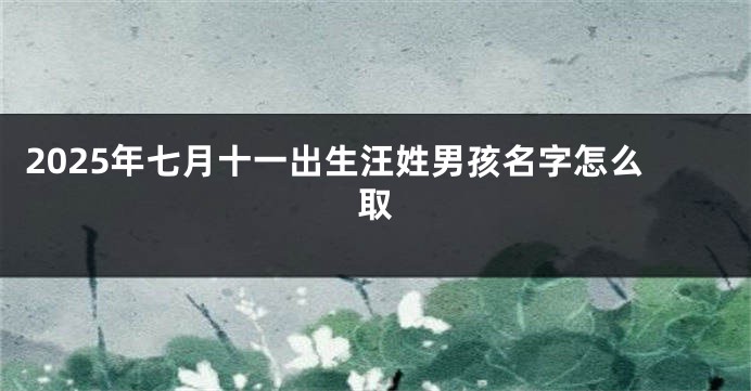 2025年七月十一出生汪姓男孩名字怎么取