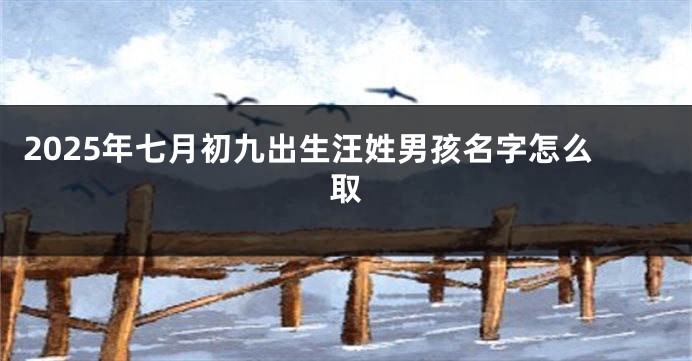 2025年七月初九出生汪姓男孩名字怎么取