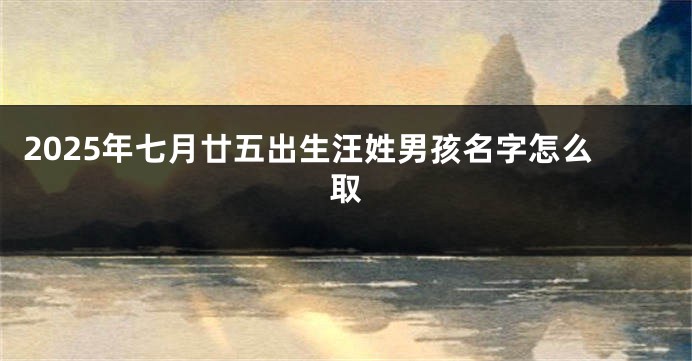 2025年七月廿五出生汪姓男孩名字怎么取