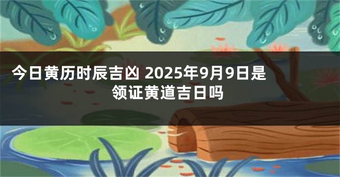 今日黄历时辰吉凶 2025年9月9日是领证黄道吉日吗