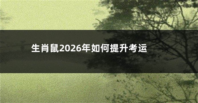 生肖鼠2026年如何提升考运