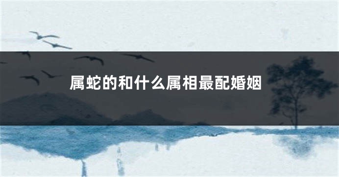 属蛇的和什么属相最配婚姻